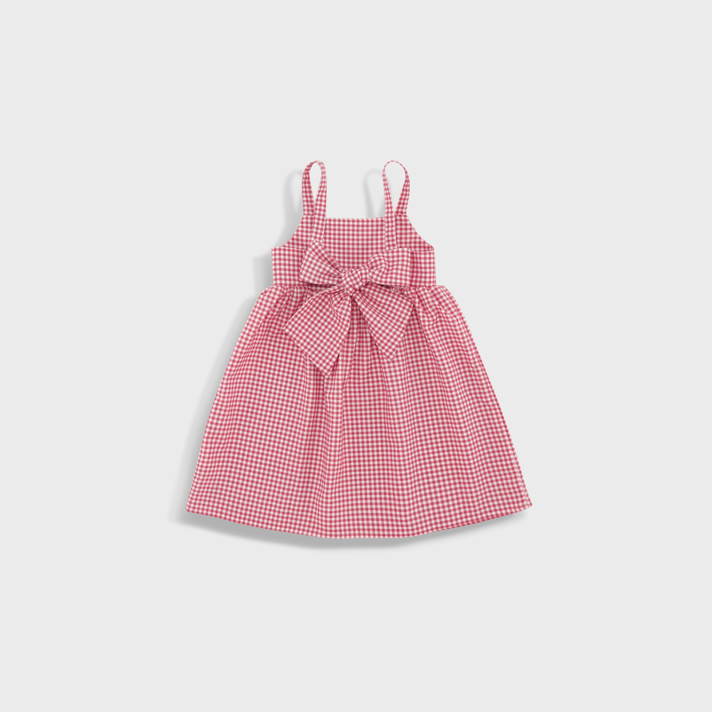 Ava Dress in Picnic Print